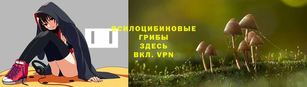 трава Армянск